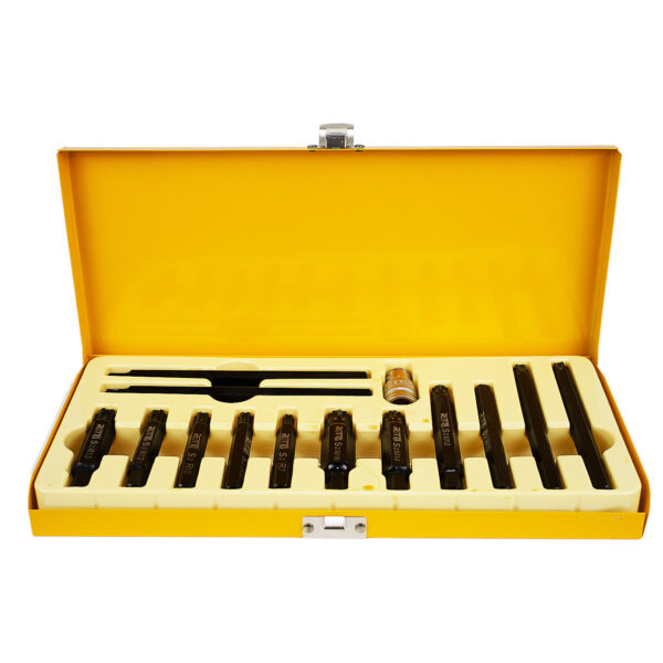 Jogo De Chaves Especiais Para Parafusos De Cabecotes 14 PCS